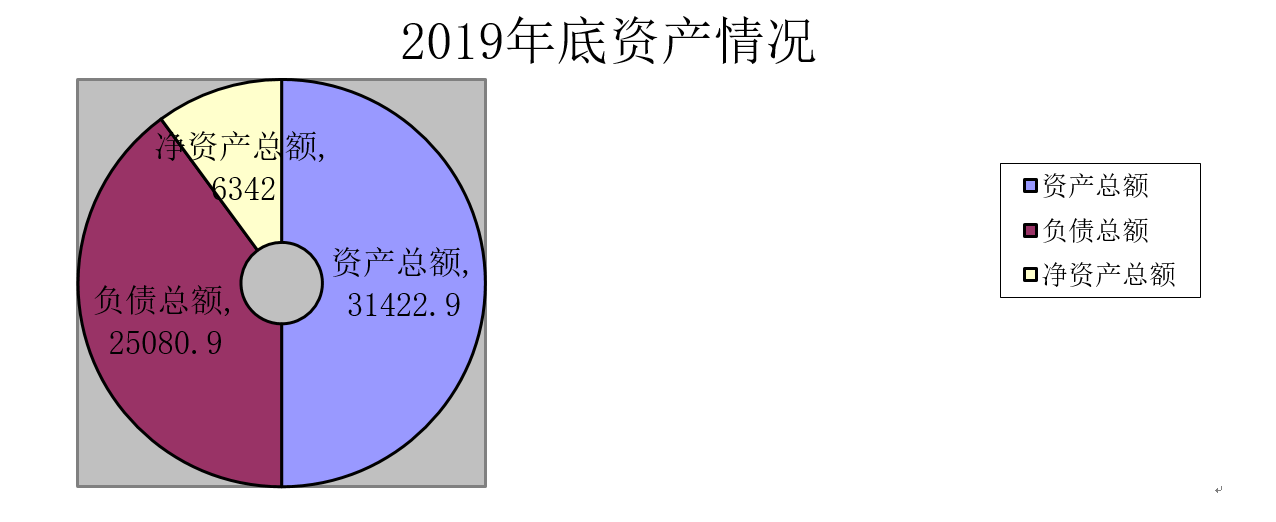 2019财务决算3.png